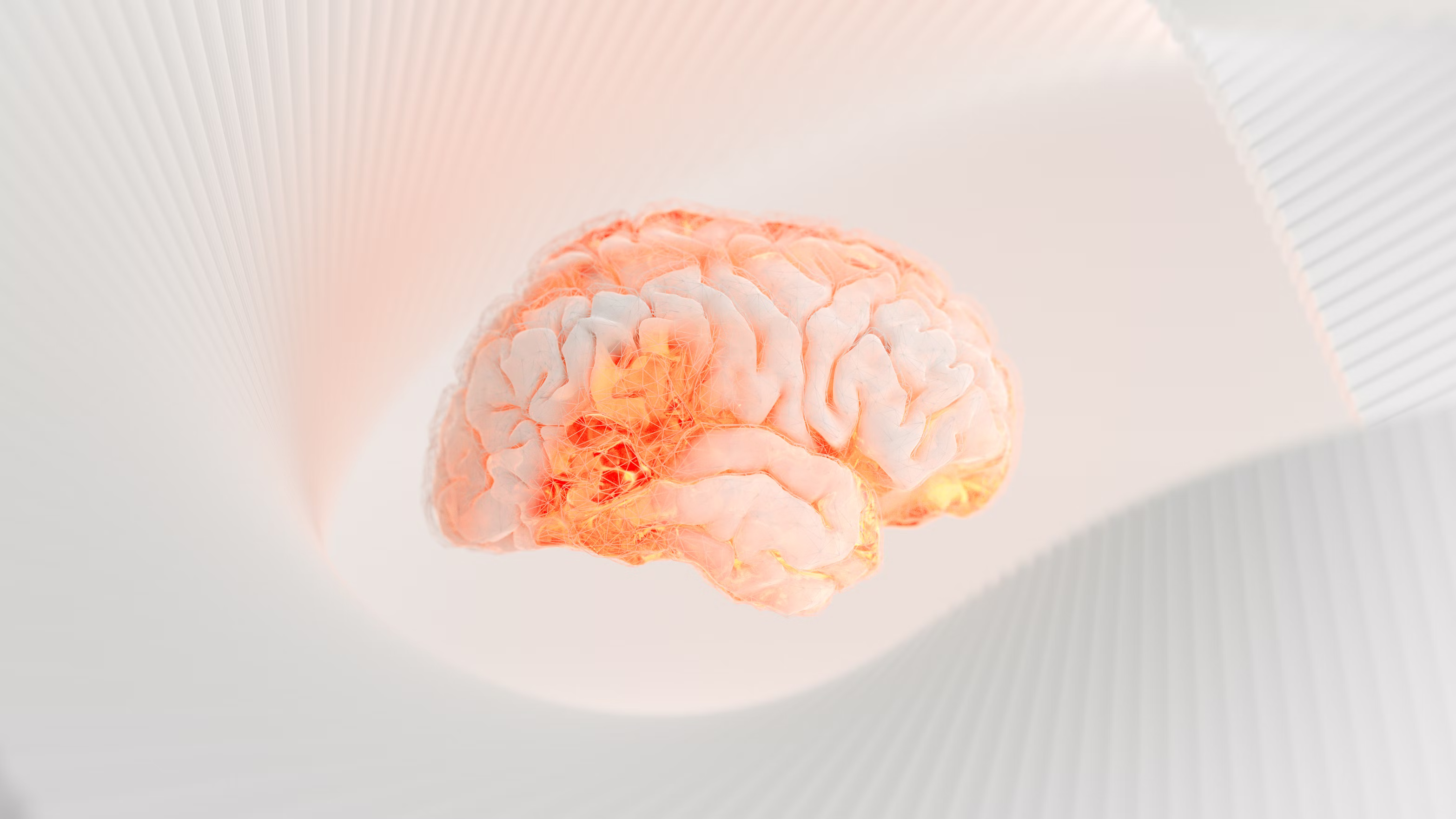 Brain scan representing neuroscience research